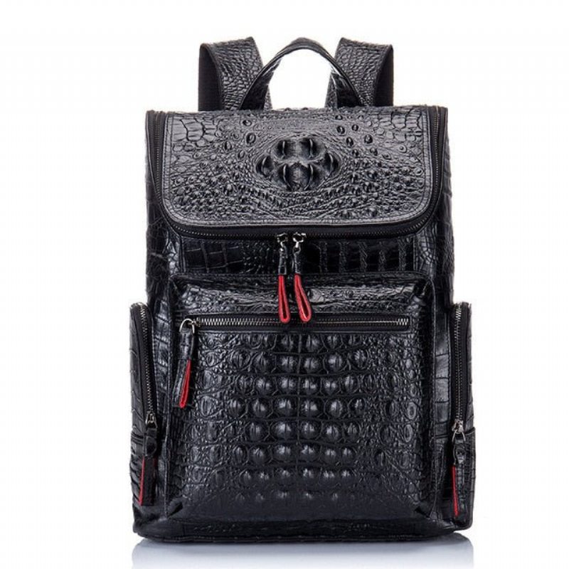 Pánské Batohy Klasický Zipper Softback Flap Backpack - Černá