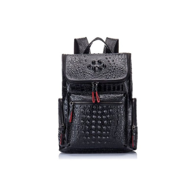 Pánské Batohy Klasický Zipper Softback Flap Backpack - Káva