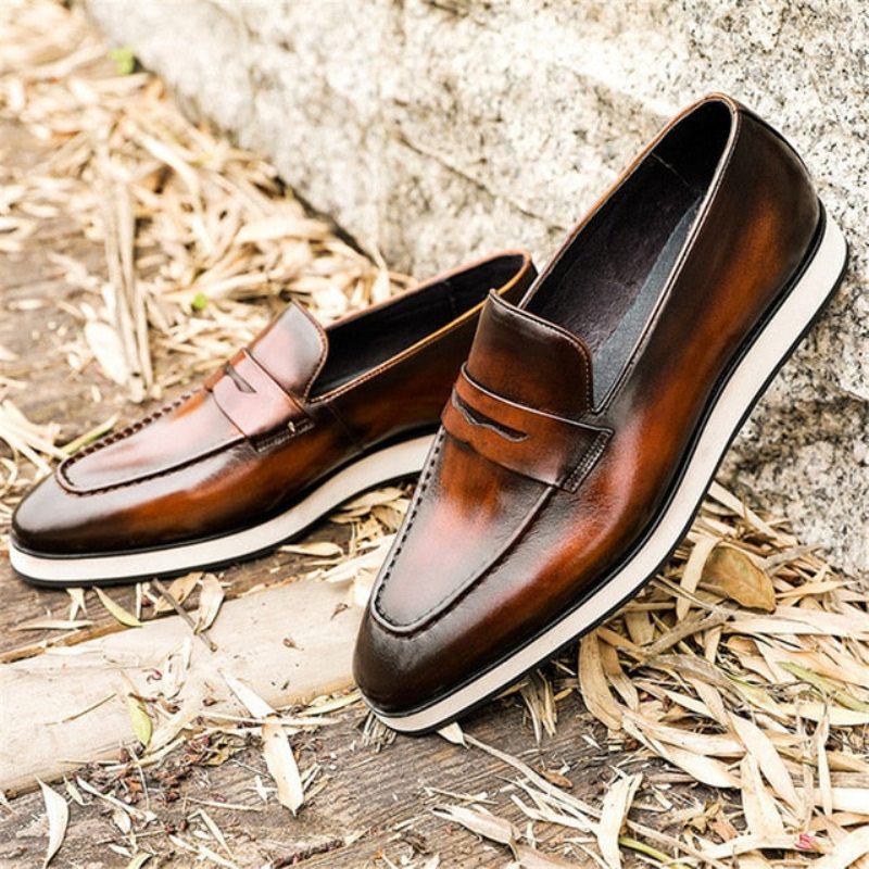 Pánské Mokasíny Klasický Pointed Toe Slip-on Brogues - Káva