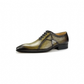 Pánské Společenské Boty Deluxe Leather Chicopulentní Svatební Brogues