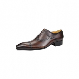 Pánské Společenské Boty Deluxe Oxford Lavishnuptial Brogues