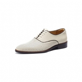 Pánské Společenské Boty Embossed Elegance Exotické Oxford S Kulatou Špičkou