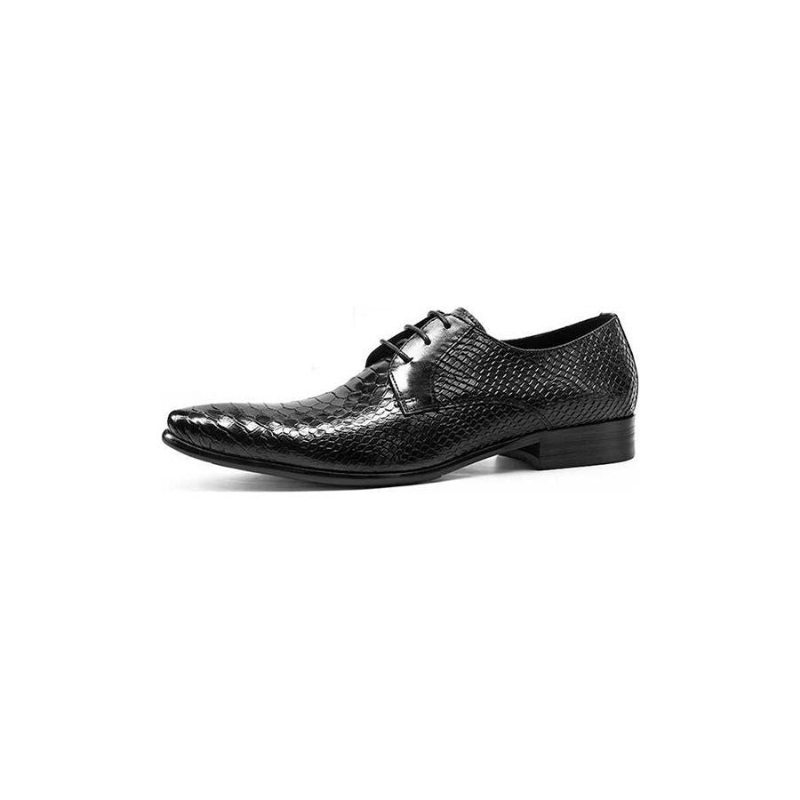 Pánské Společenské Boty Exotické Retro Šněrovací Wingtip Oxford