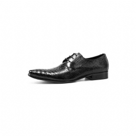 Pánské Společenské Boty Exotické Retro Šněrovací Wingtip Oxford