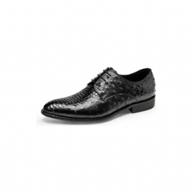 Pánské Společenské Boty Luxusní Croctex Derbies