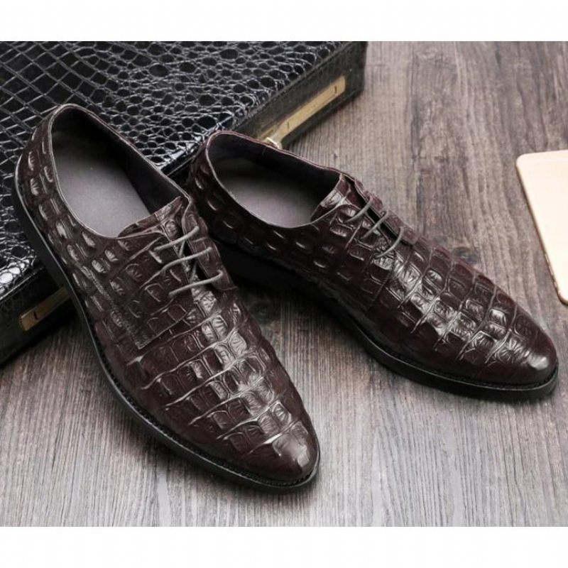 Pánské Společenské Boty Luxusní Embosovaná Kůže Oxford Brogues - Káva