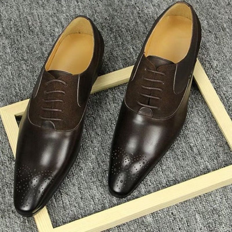 Pánské Společenské Boty Luxusní Svatební Oxford Modishopulence Brogue - Káva