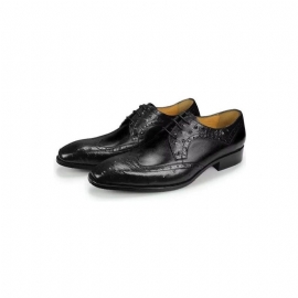 Pánské Společenské Boty Modish Bespoke Brogue Kožené Svatební