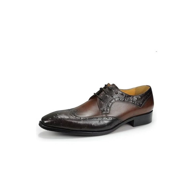 Pánské Společenské Boty Modish Bespoke Brogue Kožené Svatební - Káva