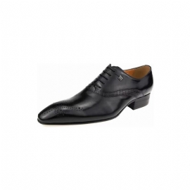 Pánské Společenské Boty Modish Wedding Brogues