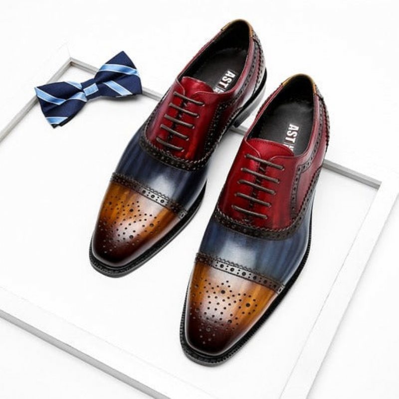 Pánské Společenské Boty Wingtip Leather Lace-up Oxfords - Exotická