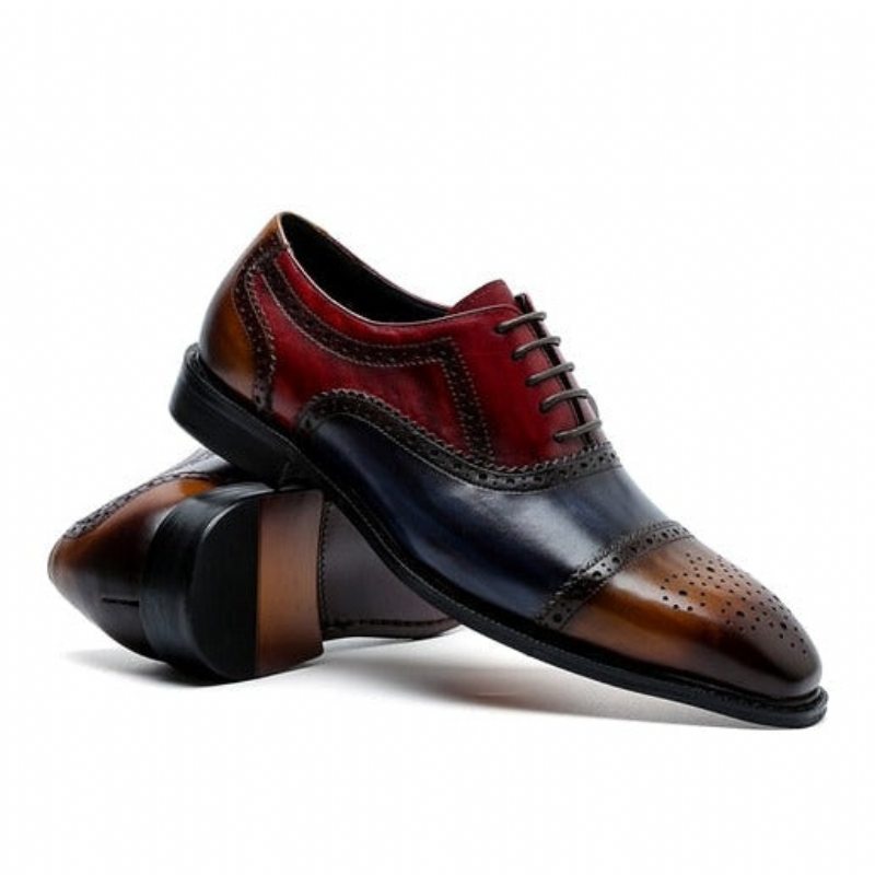 Pánské Společenské Boty Wingtip Leather Lace-up Oxfords - Exotická