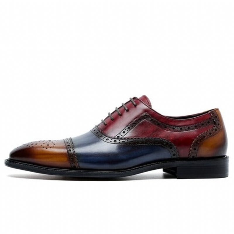 Pánské Společenské Boty Wingtip Leather Lace-up Oxfords - Exotická