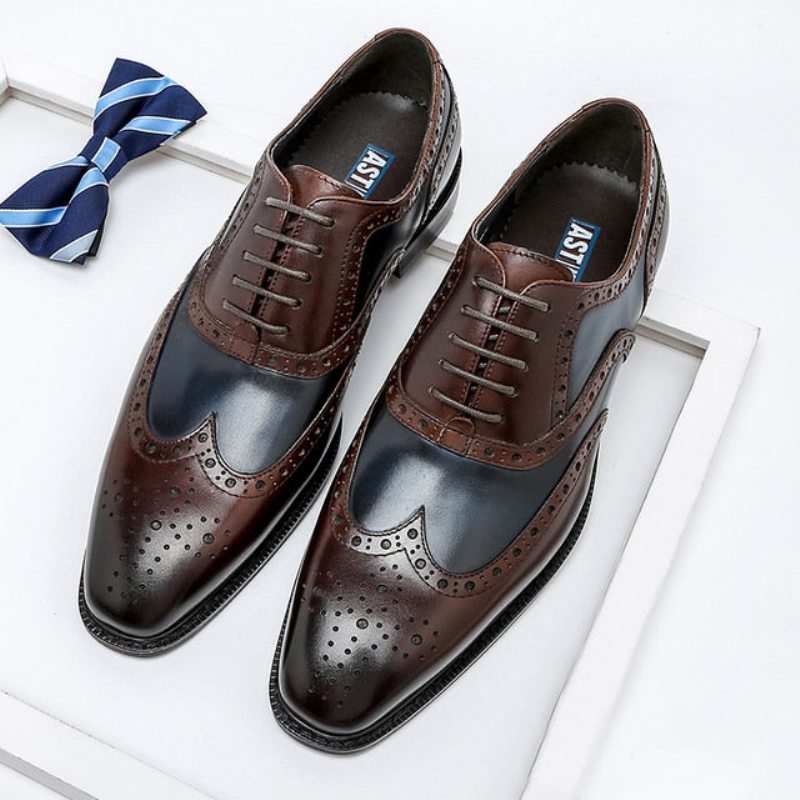 Pánské Společenské Boty Wingtip Leather Lace-up Oxfords - Modrá