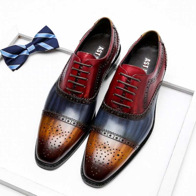 Pánské Společenské Boty Wingtip Leather Lace-up Oxfords - Exotická