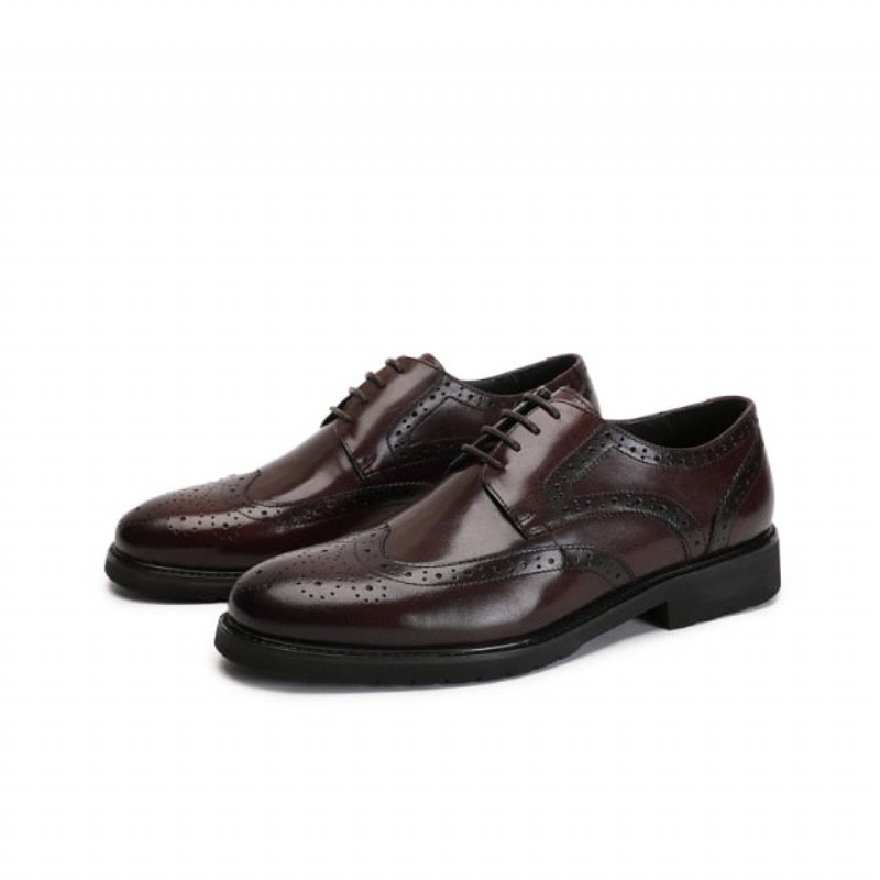 Pánské Společenské Boty Wingtip Luxury Klasický Pointed Toe Oxford Brogues - Káva